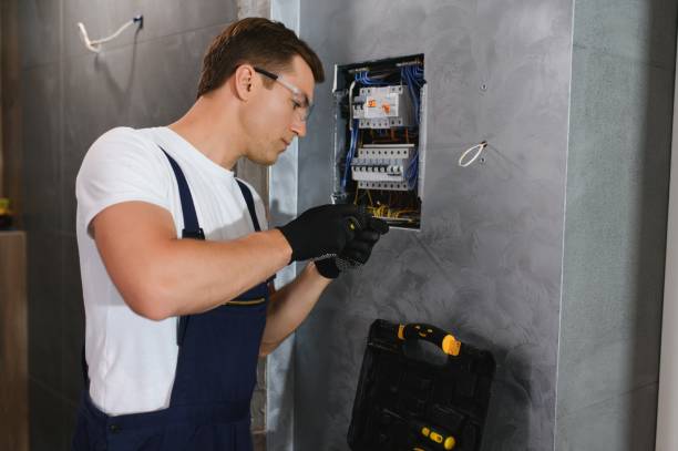 Best Local Electrician Companies  in Rushford, MN
