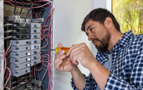Best Generator Installation Services  in Rushford, MN
